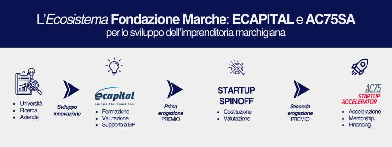 Ecosistema fondazione Marche